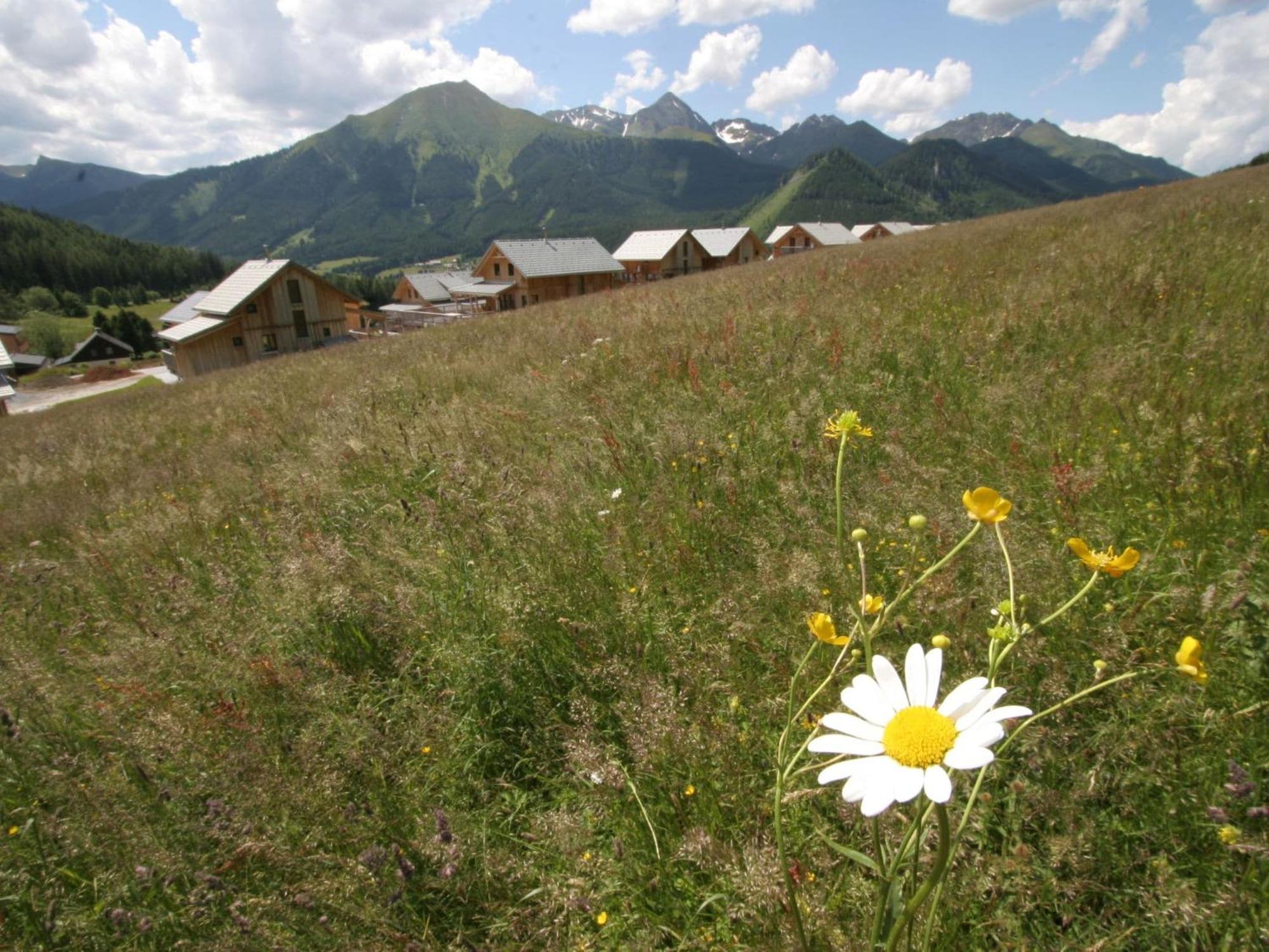 Nice Chalet In Hohentauern Styria With Sauna Βίλα Εξωτερικό φωτογραφία